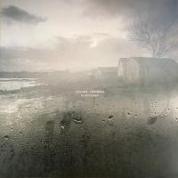 Виниловая пластинка Joshua Trinidad / In november (1LP)