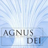 Компакт-диск Edward Higginbottom / Agnes Dei I (1CD)