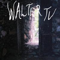 Виниловая пластинка Walter Tv / Blessed (1LP)