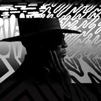 Виниловая пластинка Raphael Saadiq / Jimmy Lee (LP)
