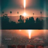 Виниловая пластинка Tstewart / Elysian (1LP)