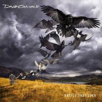Компакт-диск David Gilmour / Rattle That Lock (CD)