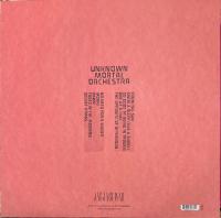 Виниловая пластинка Unknown Mortal Orchestra / II (1LP)