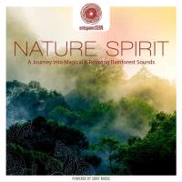 Компакт-диск Jens Buchert / Nature Spirit (A Journey Into Magical & Relaxing Rainforest Sounds)(CD)