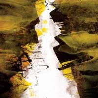 Виниловая пластинка LIZZARD / ERODED (LP)