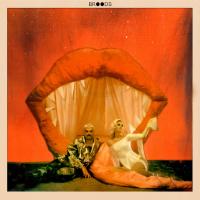 Виниловая пластинка Broods / Don't Feed The Pop Monster