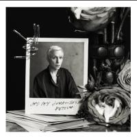 Виниловая пластинка Jay-Jay Johanson / Fetish (LP)