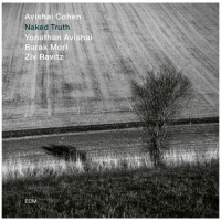 Виниловая пластинка AVISHAI COHEN QUARTET / NAKED TRUTH (1LP)