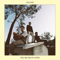 Виниловая пластинка Wallows / Tell Me That It's Over (1LP)
