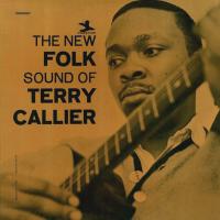 Компакт-диск Terry Callier / The New Folk Sound Of Terry Callier (Deluxe Edition)(CD)