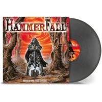 Виниловая пластинка Hammerfall / Glory To The Brave (coloured) (1LP)
