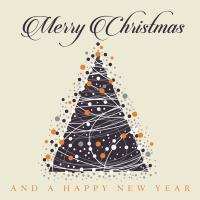 Виниловая пластинка Various Artists / Merry christmas and a happy new year (lp)