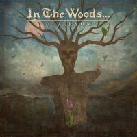 Компакт-диск In The Woods / Diversum (Jewel) (1CD)