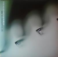 Виниловая пластинка Steve Hogarth And Richard Barbieri / Not the weapon but the hand (1LP)