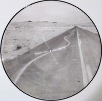 Виниловая пластинка Manic Street Preachers / Critical Thinking (picture) (1LP)