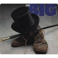 Виниловая пластинка Mr. Big / Mr. Big (Limited) (1LP)
