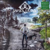Виниловая пластинка James LaBrie / Beautiful Shade Of Grey (2LP)