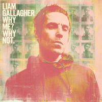 Виниловая пластинка Liam Gallagher / Why Me? Why Not. (LP)