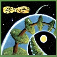 Виниловая пластинка Ozric Tentacles / Strangeitude (LP)