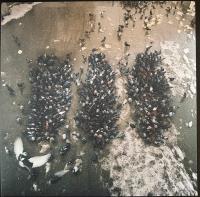 Виниловая пластинка Show Me The Body / Alone Together (coloured) (1LP)