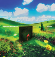 Виниловая пластинка Rainbow Kitten Surprise / Bones (1LP)