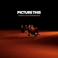 Виниловая пластинка Picture This / Parked Car Conversations (2LP)