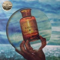 Виниловая пластинка Blackfield / V (Picture, Limited) (1LP)