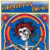 Виниловая пластинка Grateful Dead / Grateful Dead (Skull & Roses)(50th Anniversary Edition)(2LP)