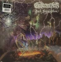 Виниловая пластинка Gatecreeper / Dark Superstition (coloured) (1LP)