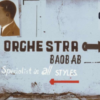 Виниловая пластинка ORCHESTRA BAOBAB / SPECIALIST IN ALL STYLES (50TH ANNIVERSARY) (2LP)