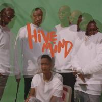 Виниловая пластинка The Internet / Hive Mind (2LP)