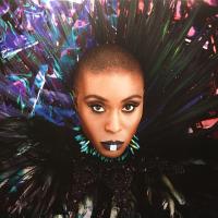 Виниловая пластинка Mvula Laura / The Dreaming Room (2LP)