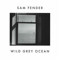 Виниловая пластинка Sam Fender / Wild Grey Ocean / Little Bull Of Blithe  (7in) (Opaque White Vinyl) (1LP)
