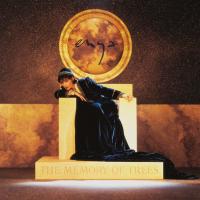 Виниловая пластинка Enya / The Memory Of Trees (LP)