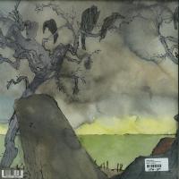 Виниловая пластинка James Blake / The Colour In Anything