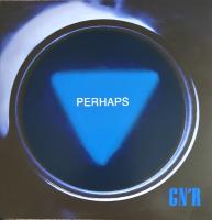 Виниловая пластинка Guns N' Roses / Perhaps / The General (1LP)