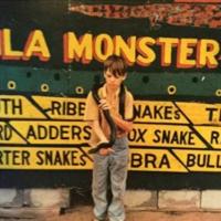 Виниловая пластинка Primal Scream / Riot City Blues Sessions (Limited Edition)(Coloured Vinyl)(2LP)