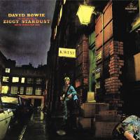 Виниловая пластинка David Bowie / The Rise And Fall Of Ziggy Stardust And The Spiders From Mars (Coloured Vinyl)(LP)