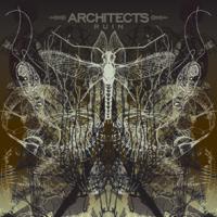 Виниловая пластинка Architects / RUIN (1LP)