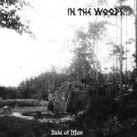 Виниловая пластинка In The Woods / Isle Of Men (1LP)
