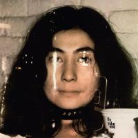 Виниловая пластинка ONO YOKO / FLYL (2LP)