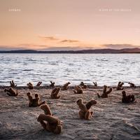 Виниловая пластинка AIRBAG / A DAY AT THE BEACH (1LP)