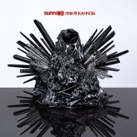 Виниловая пластинка  / Sunn O))) - Kannon (1LP)