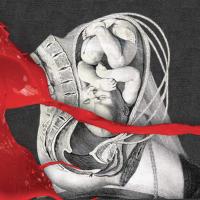 Компакт-диск IAMX / The Unified Field (CD)