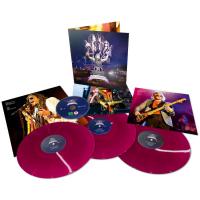 Виниловая пластинка Aerosmith / Rocks Donington 2014 (Coloured Vinyl)(3LP+DVD)