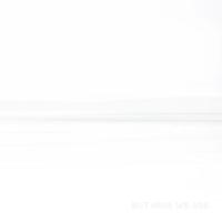 Виниловая пластинка FOO FIGHTERS / BUT HERE WE ARE (1LP)