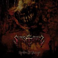 Виниловая пластинка Sinsaenum / REPULSION FOR HUMANITY (2LP)