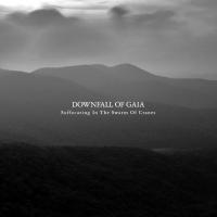 Компакт-диск Downfall Of Gaia / Suffocating In The Swarm Of Cranes (RU)(CD)