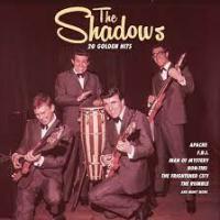 Виниловая пластинка THE SHADOWS / 20 GOLDEN HITS (1LP)