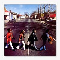 Виниловая пластинка Booker T & Mg S / Mclemore Avenue (LP)